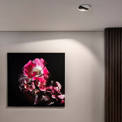 The Glasshouse - Lighting