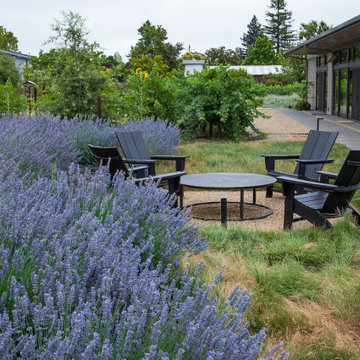 Resilient Landscapes with California native plants