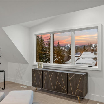 Park Meadows Remodel