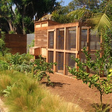 Chicken Coop / Garden