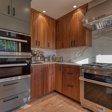 Santa Cruz Modern