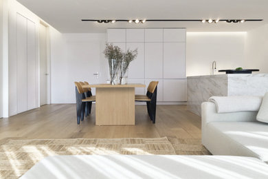 Geräumiges, Repräsentatives, Offenes Modernes Wohnzimmer mit weißer Wandfarbe, hellem Holzboden, Kamin, verputzter Kaminumrandung, TV-Wand und braunem Boden in Berlin