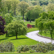 Tennessee Landscaping thoughts