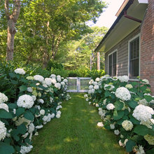 Side Yard