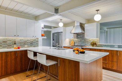 Example of a 1950s kitchen design in San Francisco