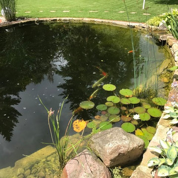 Gartenteichanlage mit Sitzplatz, Bachlauf und Gartenbeleuchtung