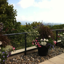 Landscape Ideas