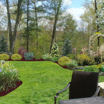 Backyard Image View