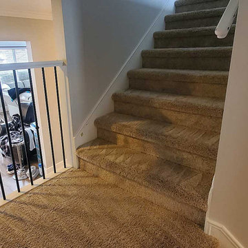 Urine Removal From Stairs in a House Located in Maple Ridge BC Canada