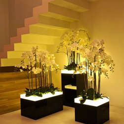 SU LIGHTS - Products