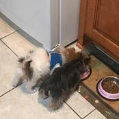 Sheila Ramacci's photo