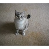 Jane Schneer's photo