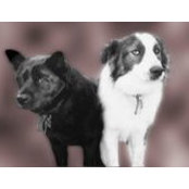 Cathy Wamsley's photo