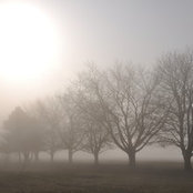 Bev L's photo