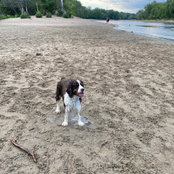 Gretchen VandenBerg's photo