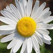 Angela Davre's photo