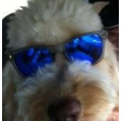 Bentley Bartling's photo