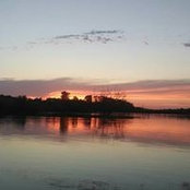 Jayne Tibbott's photo