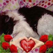 Morgane Aubert's photo