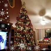 Melissa Ayala's photo