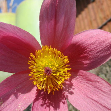 Gartengestaltung