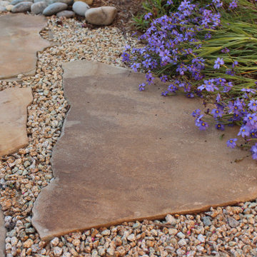 Arresting Dunes - Coastal Gem Garden