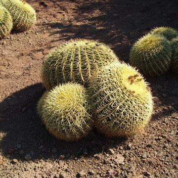 giardino Pantelleria