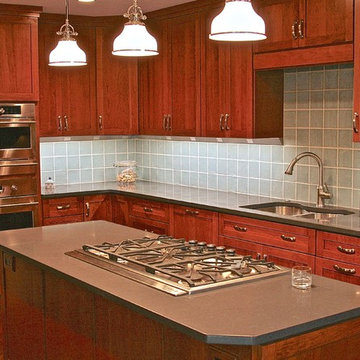 Silver Spring Transitional Kitchen