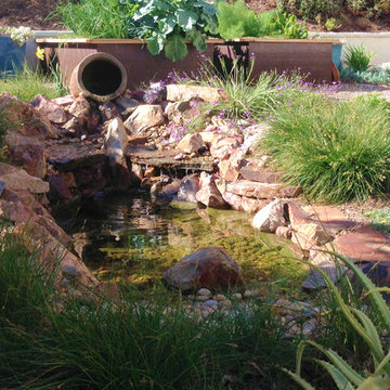 Simple Natural Pond
