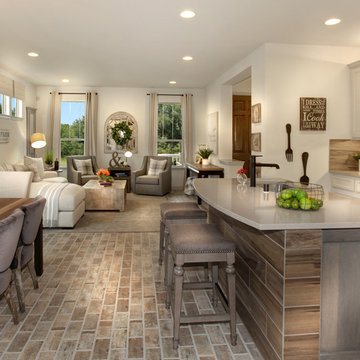 Viridian - Phase VI - Arlington, TX