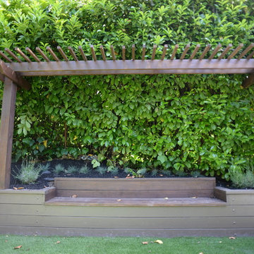 Fernandez Residence - Kentfield