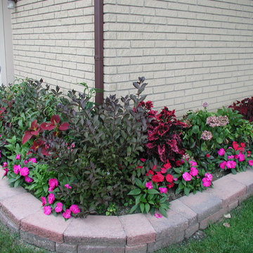 Color Explosion