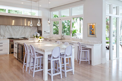 Kitchen - transitional kitchen idea in Miami