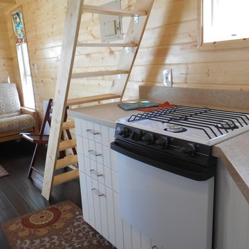 Princess 24 ft. Tiny Diamond Home