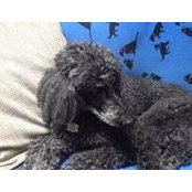 Barbara Margolis's photo