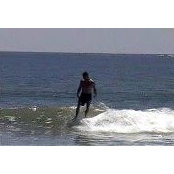 Gregory Kotovos's photo