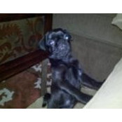 Michael Todd's photo
