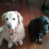 Michelle Twitchell's photo