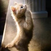 Foto von Tracie Knobloch