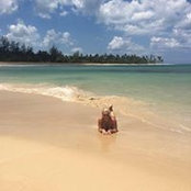 Ines Schlehahn's photo