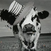 Natalia Comas's photo