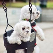 Kathy Miller's photo
