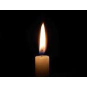 Lisa Keegan's photo