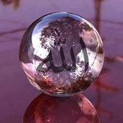 Mohamed Ali's photo