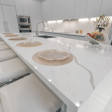 Sleek Elegance - Full Matte Lacquer Kitchen Project