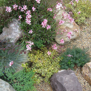 Garden for Reflection and Awareness