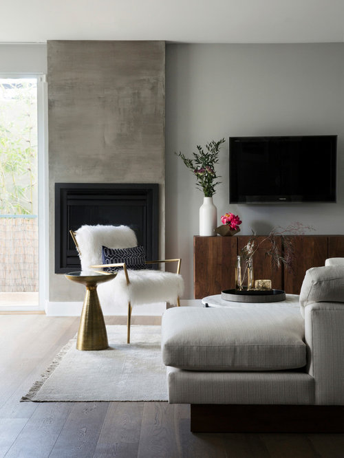 Best Contemporary Living Room Design Ideas & Remodel ...