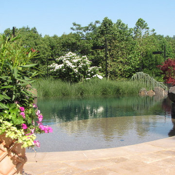 Backyard Resort Area & Tennis Court