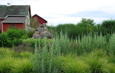 Problem Solving With the Pros: An Abundant Garden Stretches Its Means