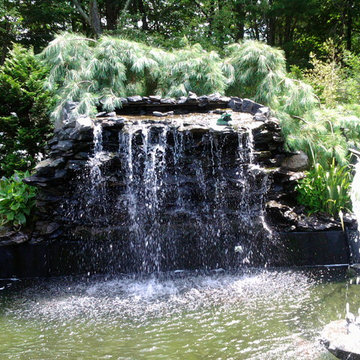 A beautiful creation & healthy koi pond